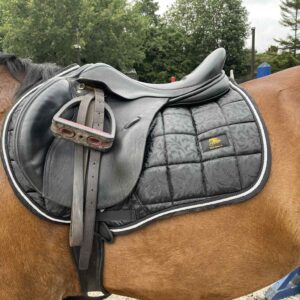 Palazzo Black Florentine Saddle Pad – Luxury Everyday CC/Jump  Pad with Timeless Baroque Design