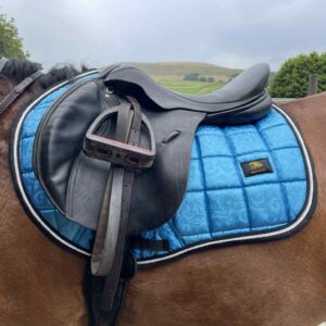 Palazzo Blue Florentine Saddle Pad – CC/Jump Pad