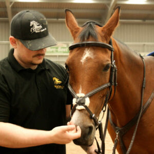 Equestrian Polo Shirt | Wild Canter Co. Black
