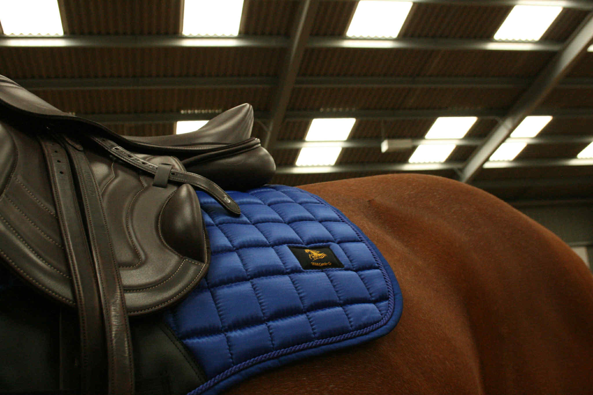 Saphire Blue Satin Saddle Pad