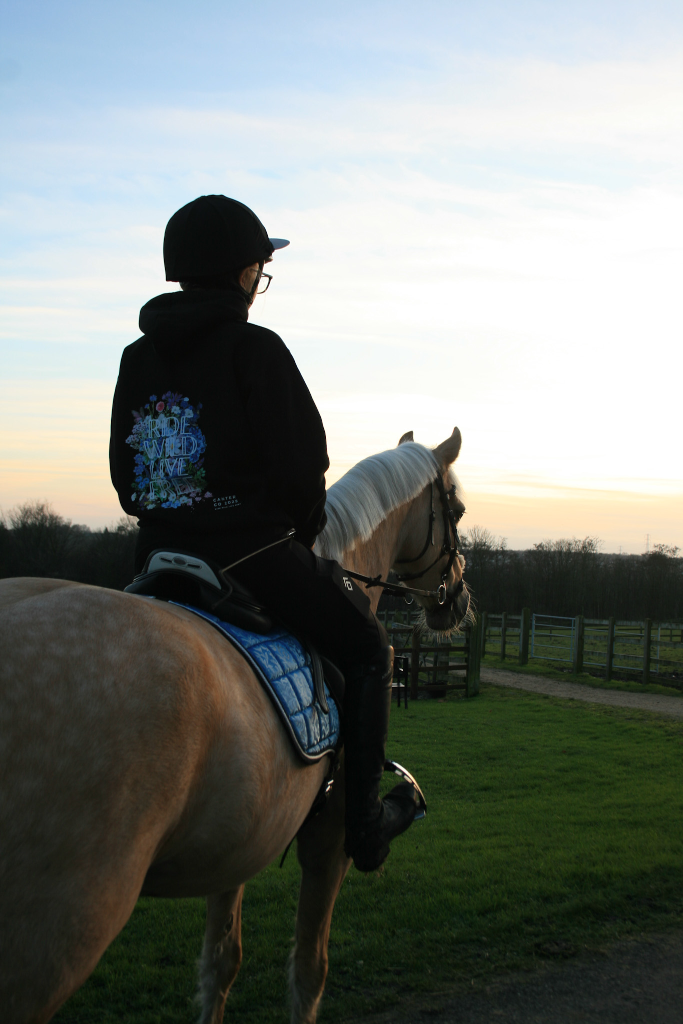 The RIDE Signature Hoodie - Image 2
