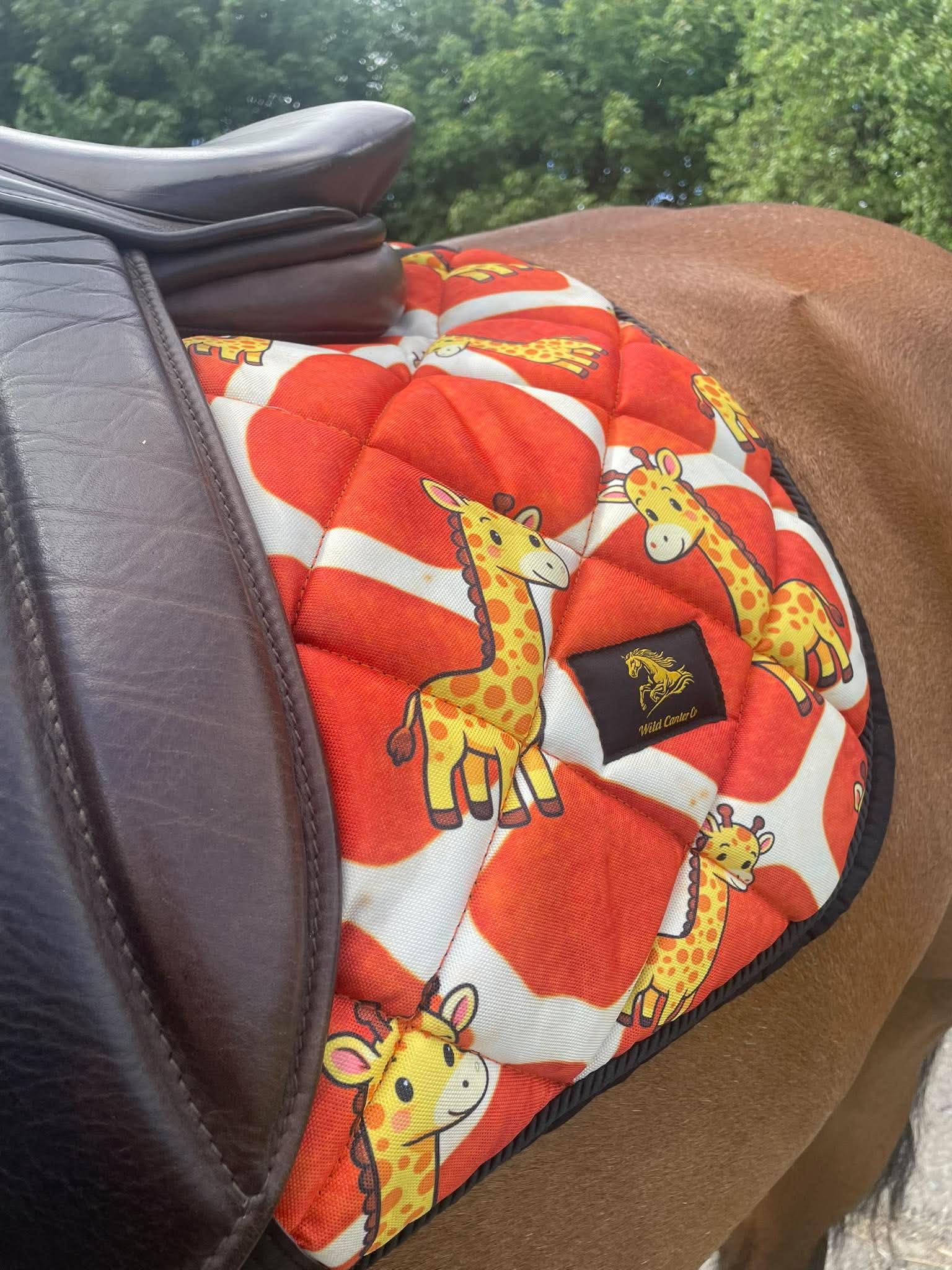 Awaiting Fun Name | Giraffe Saddle Pad