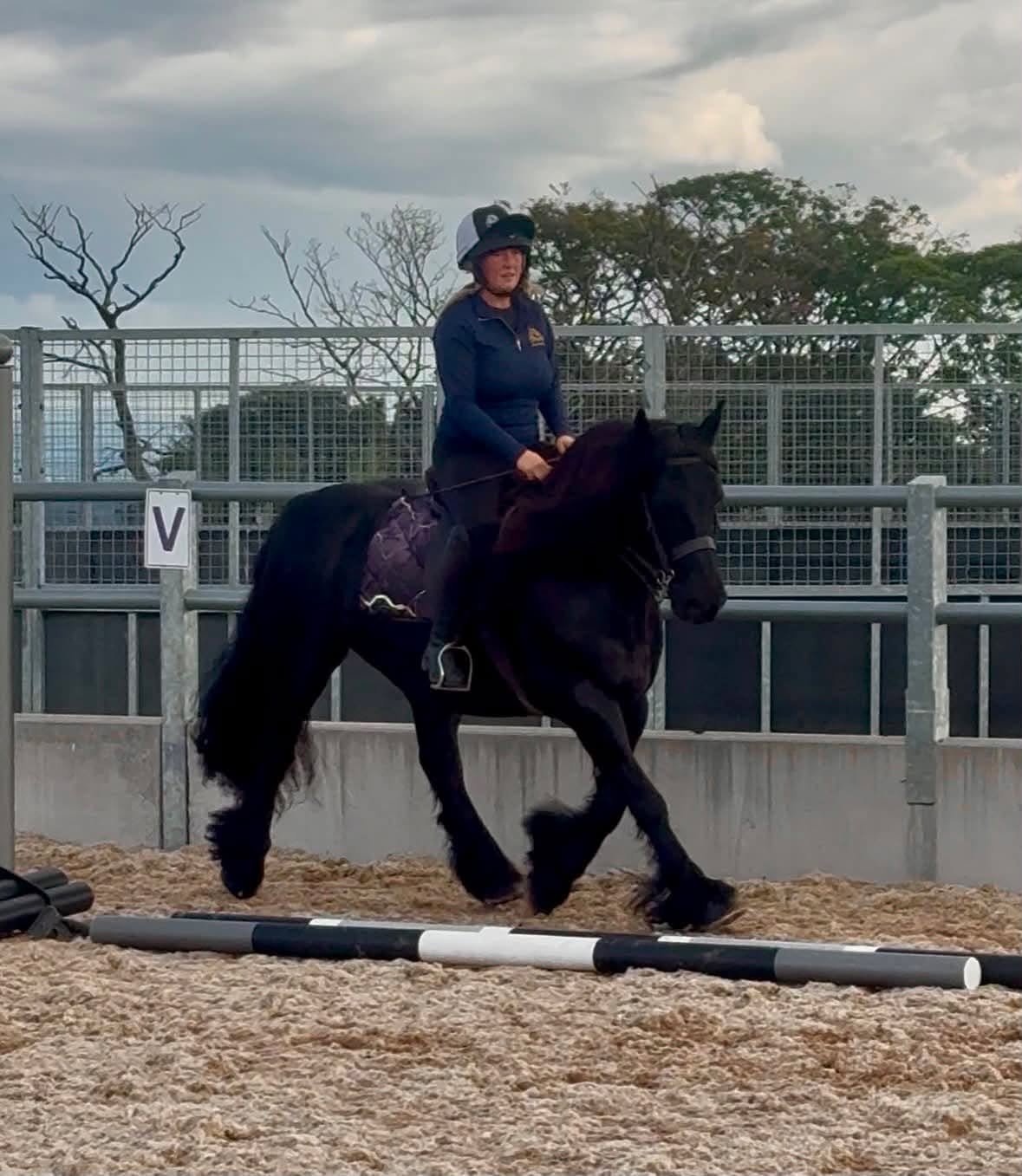 Limited Edition Wild at Midnight Saddle Pad - Image 2